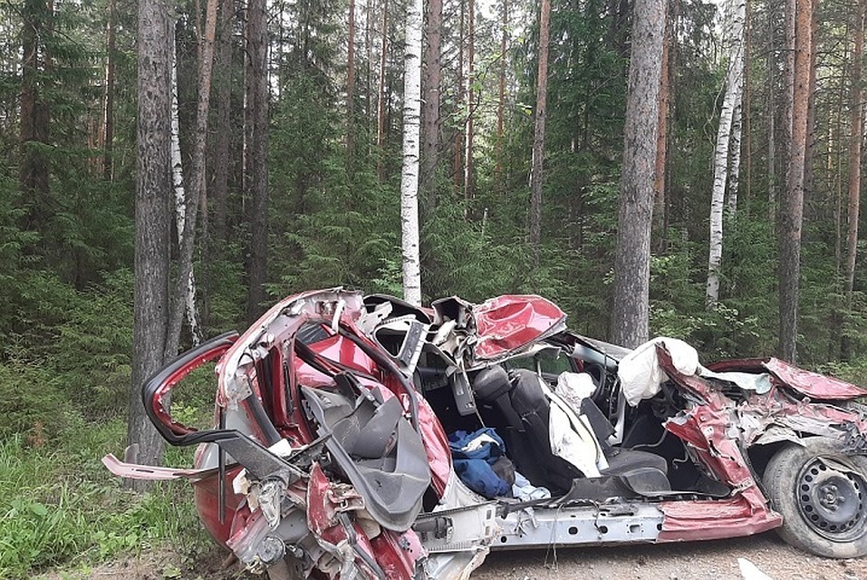 Даже страшно представить, какие травмы получила погибшая. Фото: УГИБДД по Свердловской области