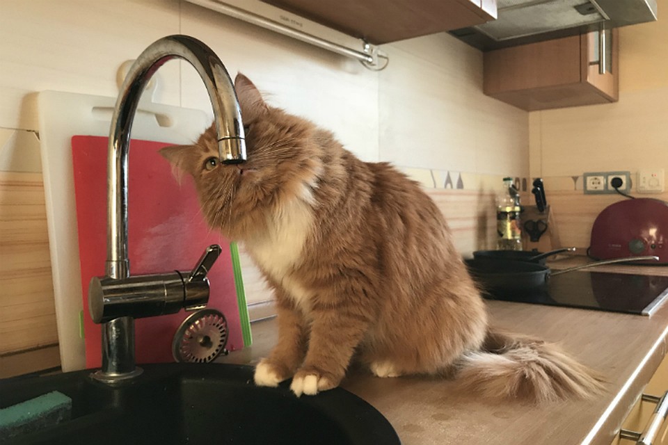 Отключение воды