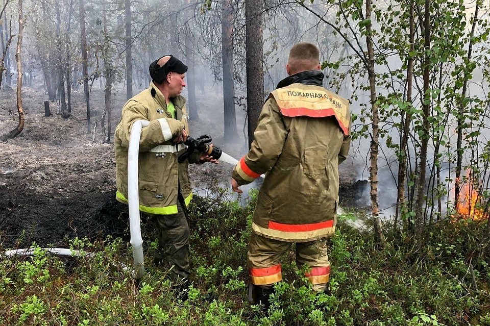 Огонь опасно подобрался к границе заповедника "Пасвик, к счастью, его смогли остановить. Фото: Наталья Поликарпова