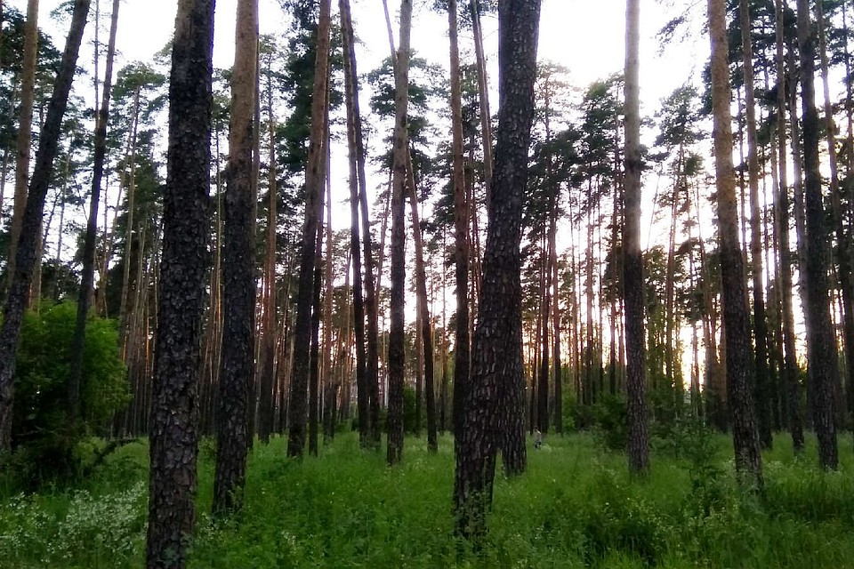 В Липецке прошла спецоперация "Лес"