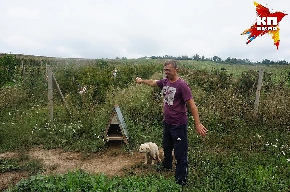 Затраты, которые ложаться на фермеров, не позволяют снижать цены на продукцию