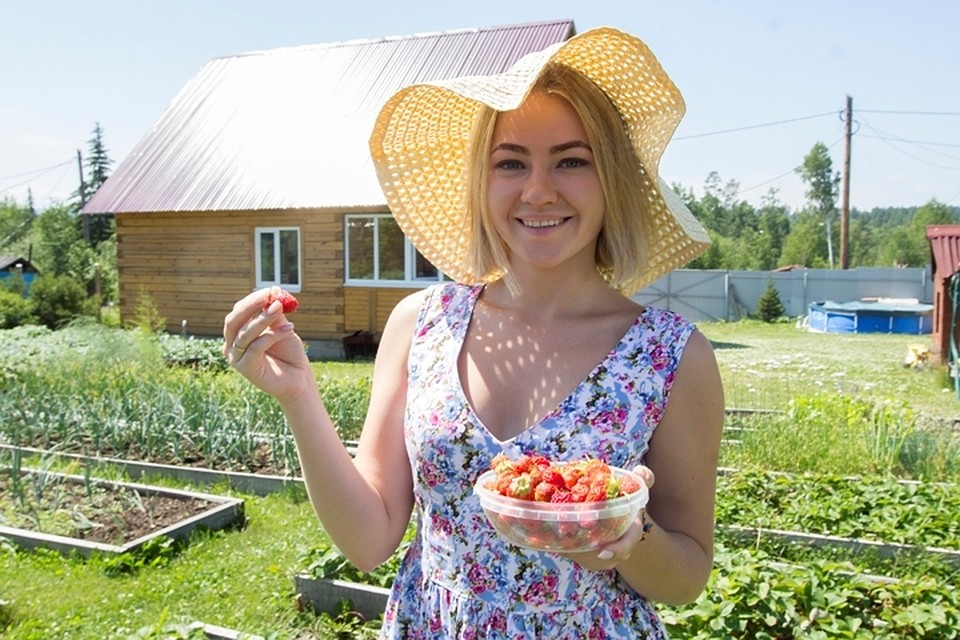 Кузбассовцам рассказали, как выбрать вкусную клубнику