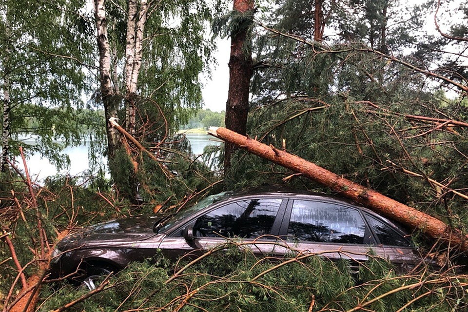 Ураган завалил деревьями палаточный городок под Богородском. Фото: vk.com/bezcenznn