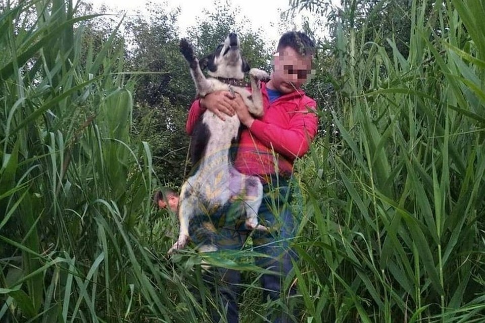 Фото: МБУ "Управление гражданской защиты г. Ульяновска"