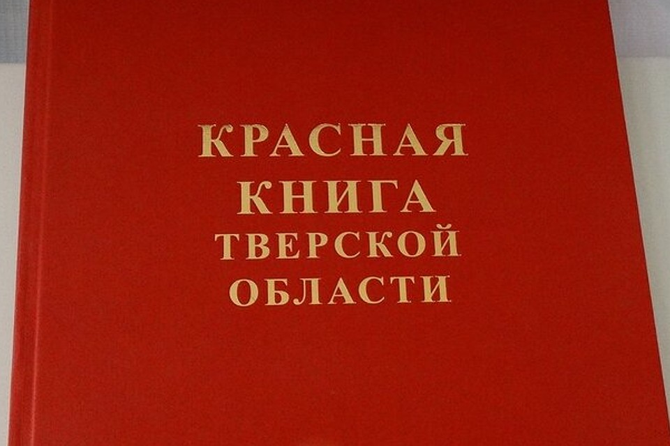 Красную книгу Тверской области ждет перепроверка.