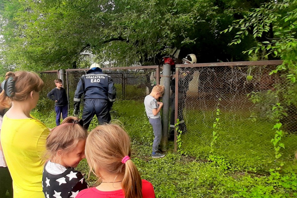 В Биробиджане спасли мальчика, застрявшего в заборе