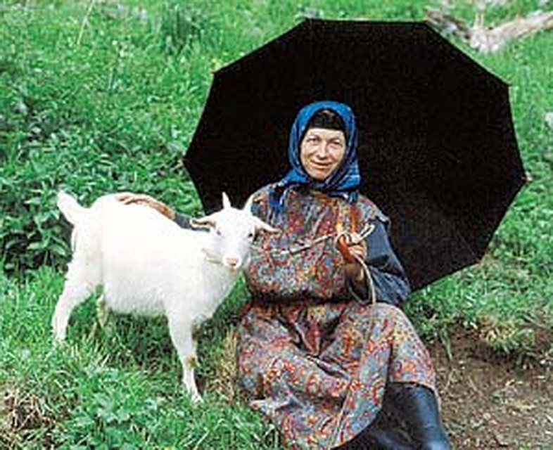 Обновленье зонта.
