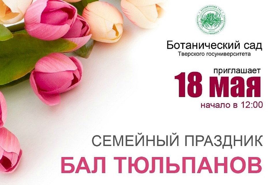 read Библиотека в Информационном обществе: презентация (60,00