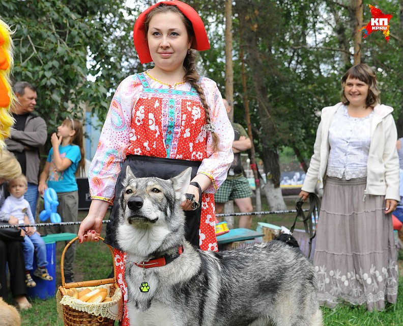 Фото: Николай КРИВИЧ