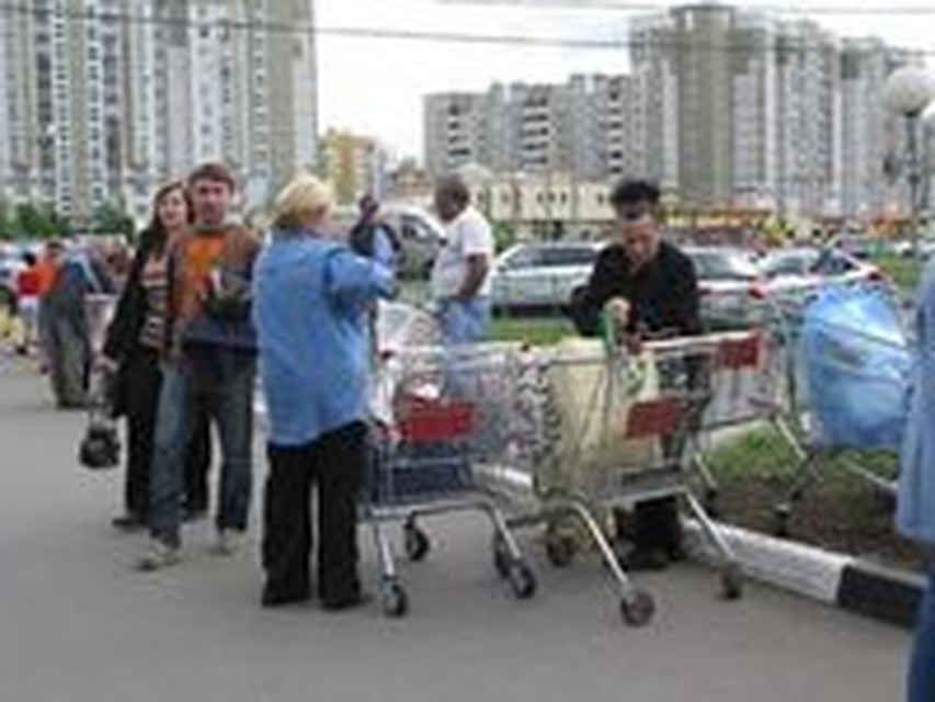 Когда сажать семена на весну 541