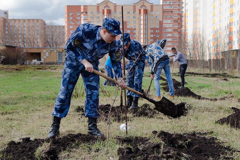 Подготовку к высадке провели курсанты Самарского юридического института ФСИН России совместно с работниками Самарского областного детского эколого-биологического центра. Фото: Ольга АФАНАСЬЕВА