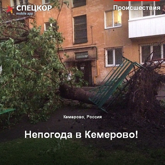 Фото: Мобильное приложение «Спецкор» от «Комсомольской правды»