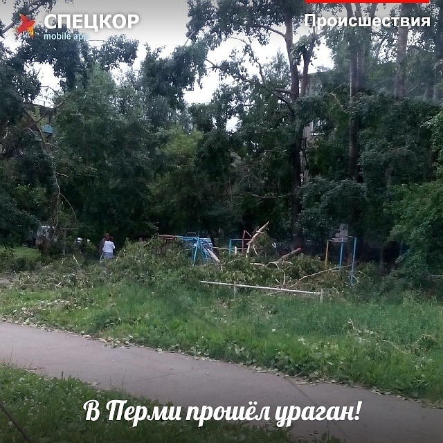 Фото: Мобильное приложение «Спецкор» от «Комсомольской правды»