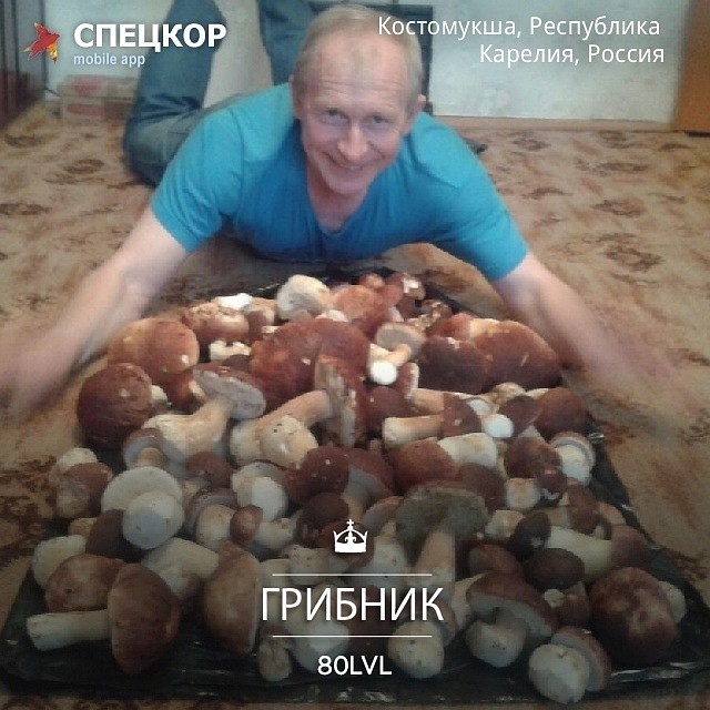 Фото: Мобильное приложение «Спецкор» от «Комсомольской правды»