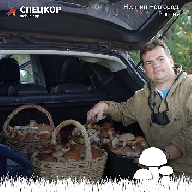 Фото: Мобильное приложение «Спецкор» от «Комсомольской правды»