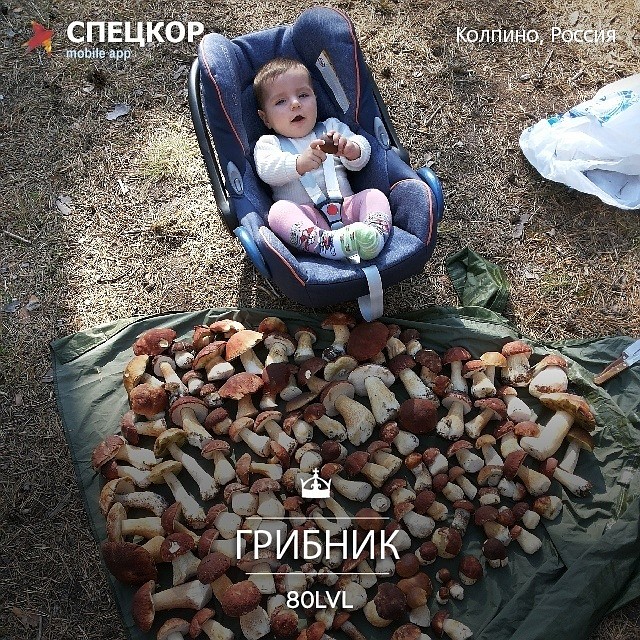 Фото: Мобильное приложение «Спецкор» от «Комсомольской правды»