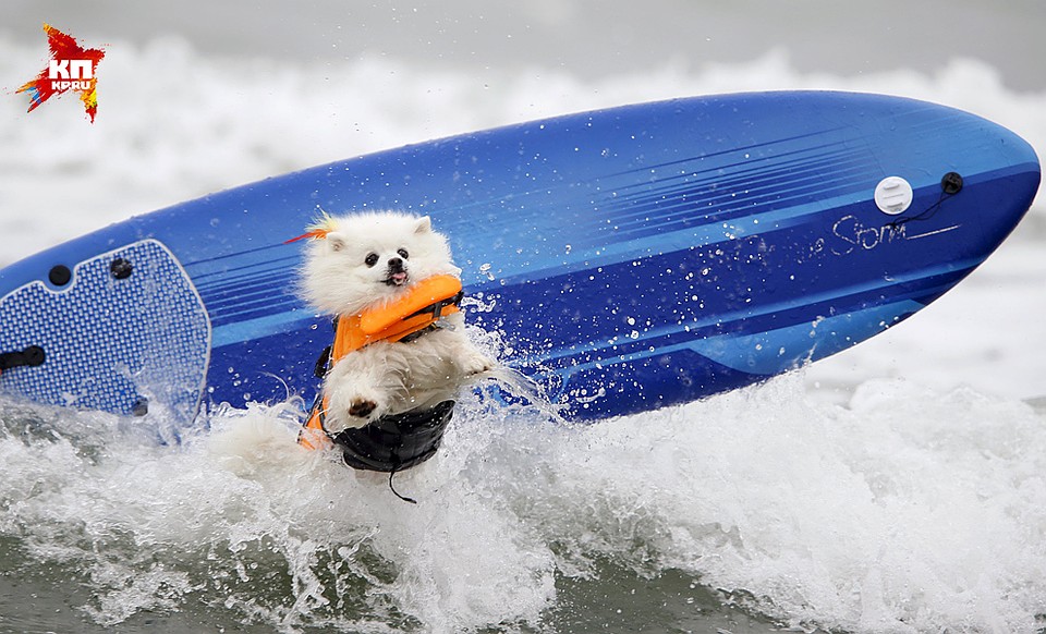 Фото: REUTERS