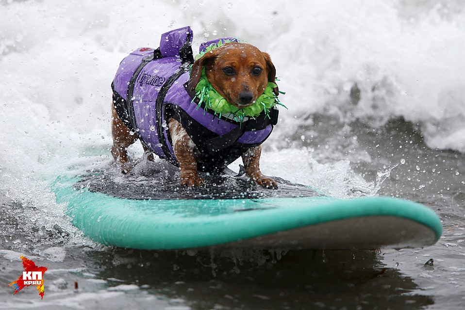 Фото: REUTERS