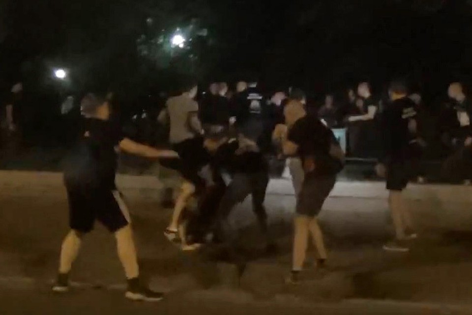 Участники молодежного объединения «Лев против» в Москве пострадали за высокую цель