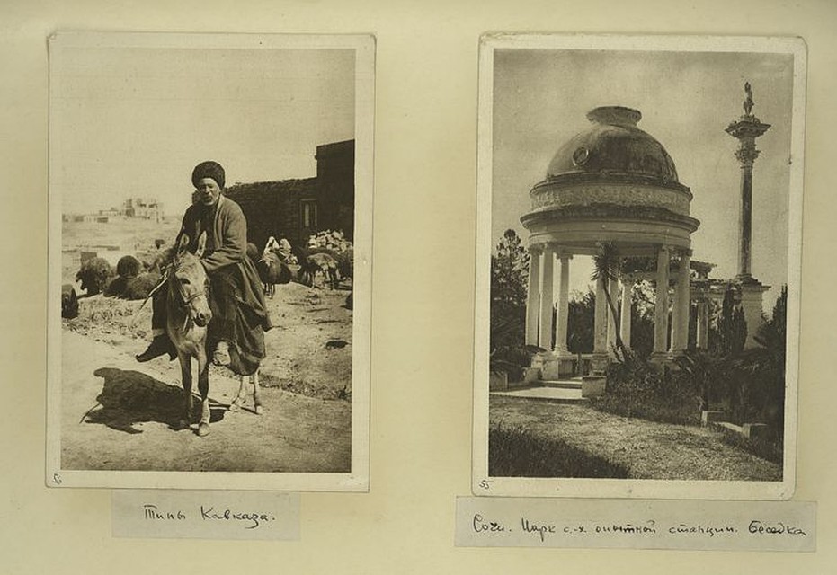 digitalcollections.nypl.org