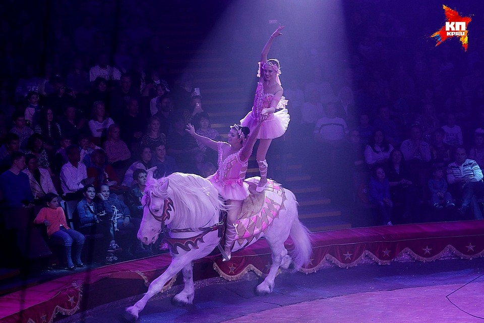 Фото: Роман ЗЛОБИН