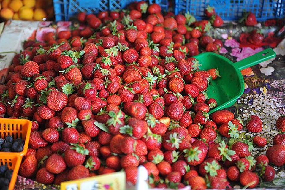 Подмосковная клубника вкуснее и душистее, но хранится меньше