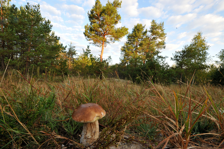 Женщин удалось быстро отыскать