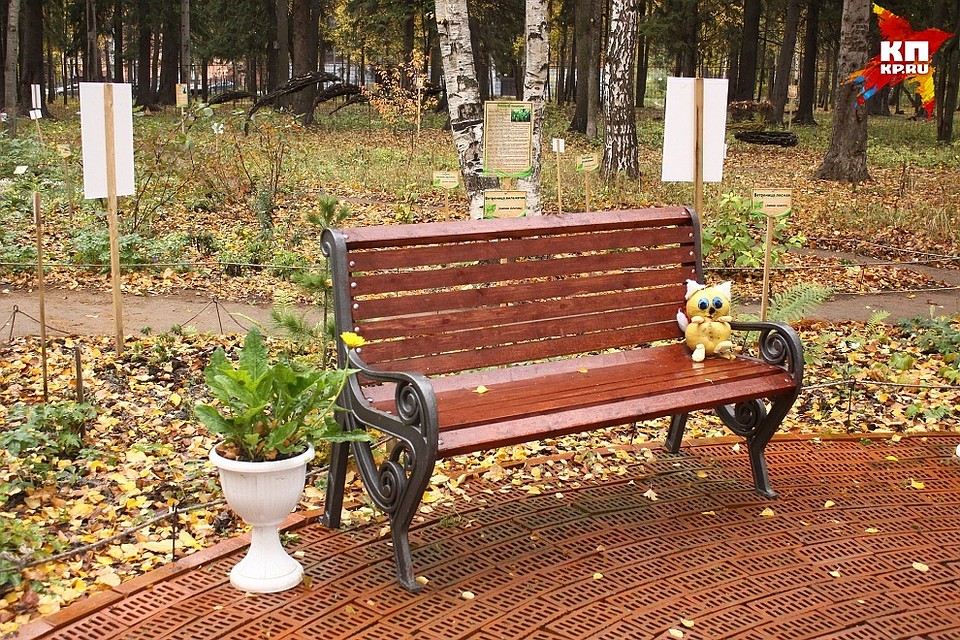 Фото: Сергей Грачев