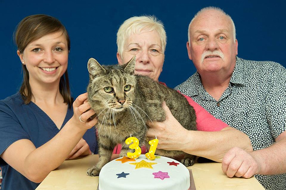 Хозяева Натмега - Лиз и Иэн Финли - души в старичке не чаят Фото: Westway Veterinary Group