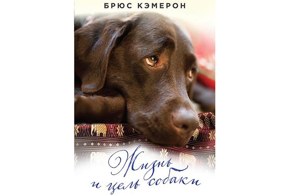 Собаки выглядят в этой книге проводниками космической мудрости
