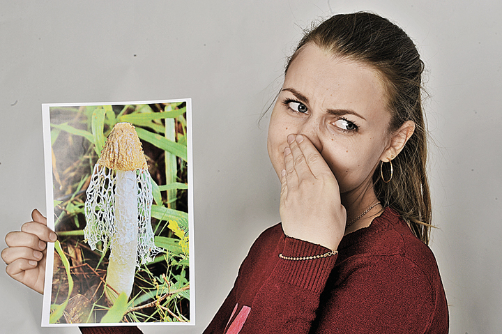 А вот впечатлительным российским барышням кажется, что смрад идет даже от фотографии диктиофоры!