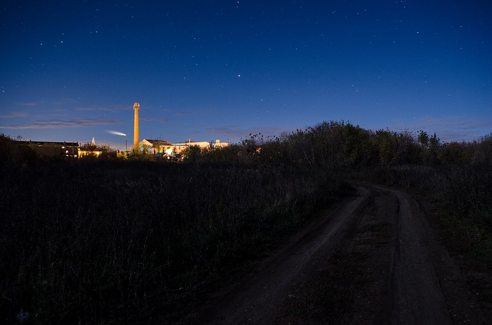 Фотоохота в Кинель-Черкасском районе: так вот ты какой, олень благородный Фото: Андрей ЦЫГАНОВ