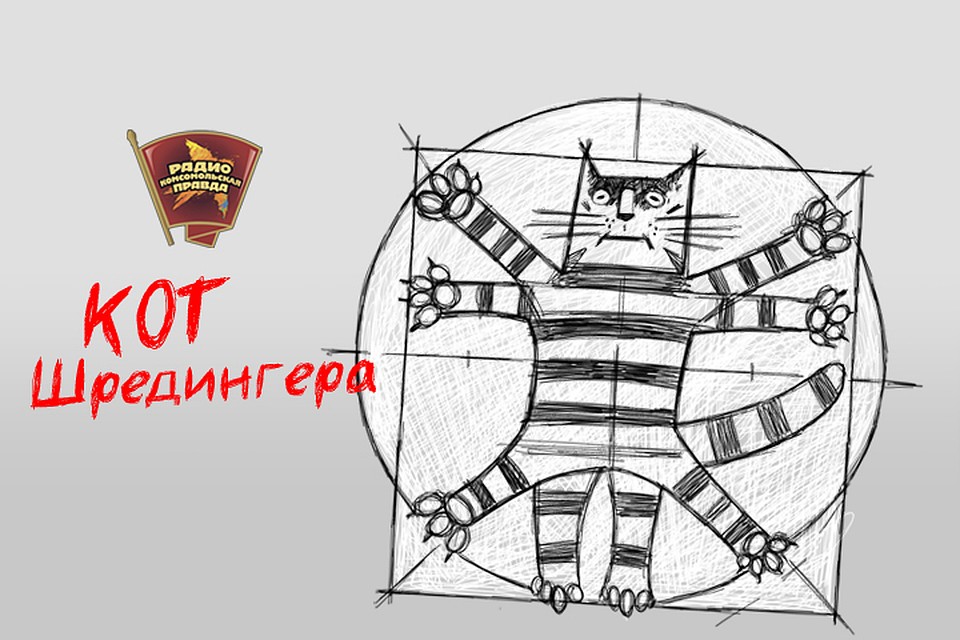 Что такое нейросети и как они применяются в поиске