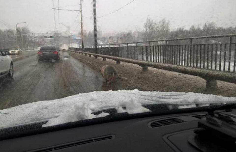 Фото из группы "ВКонтакте" "Подслушано в Костроме.