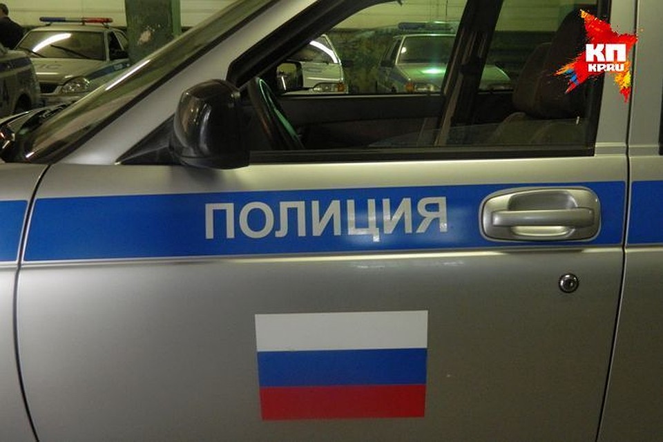 В Твери разыскивают двух мужчин, которые хотели показать маленькой девочке котенка