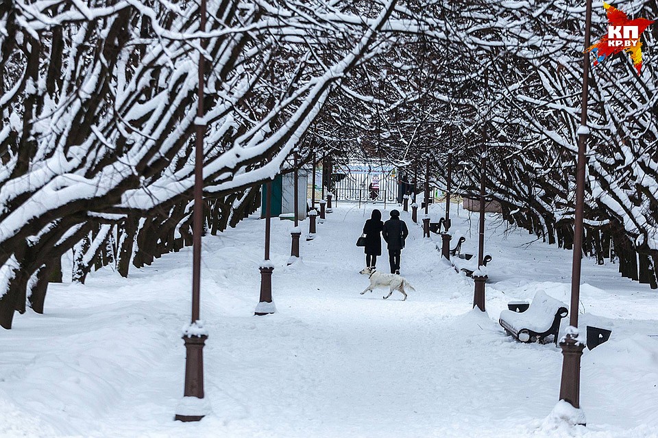 Засыпанный снегом Минск выглядит волшебно.