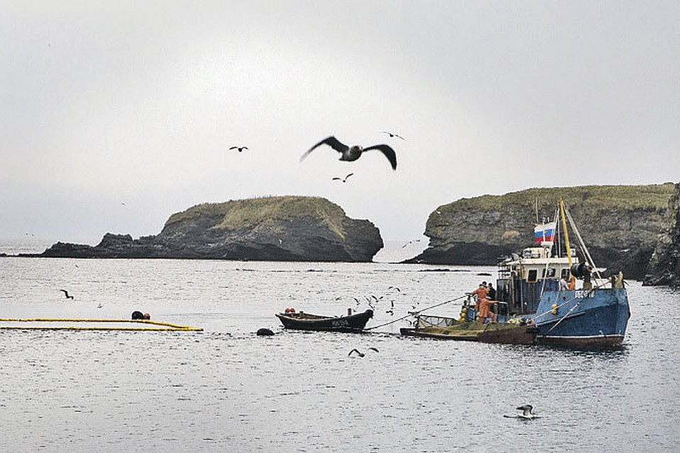 Главное на Дальнем Востоке - это море