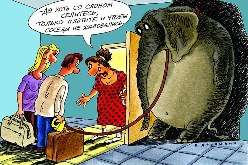 За крупные деньги хозяева согласны терпеть любые прихоти квартиросъемщиков.