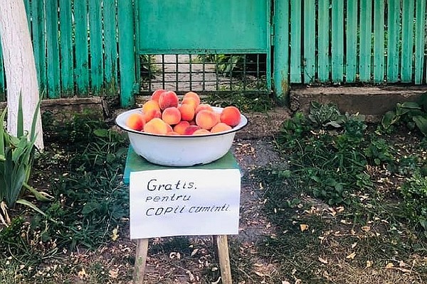 Фото: chisinau.fail