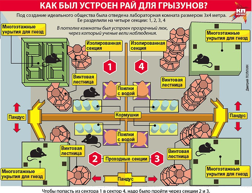 Фото: Дмитрий ПОЛУХИН
