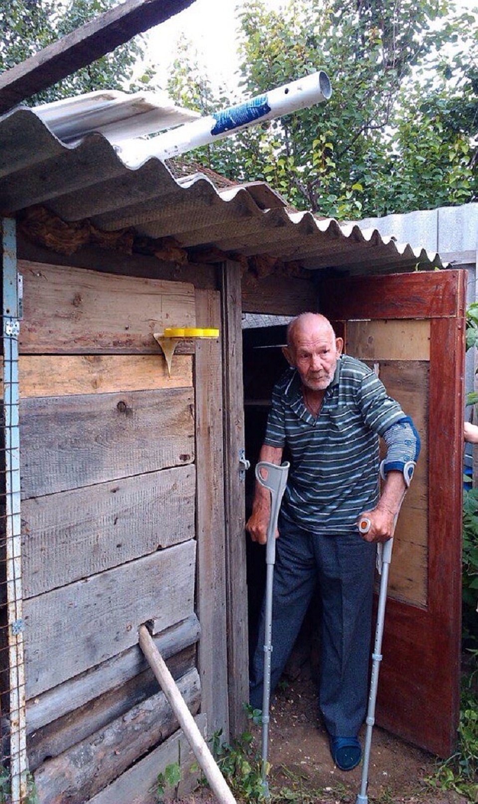 Дедушка у голубятника. Фото предоставили волонтеры.