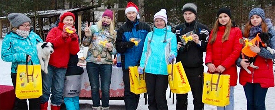 Подведение итогов 2016 года команда IKS-team по аджилити со своими питомцами.