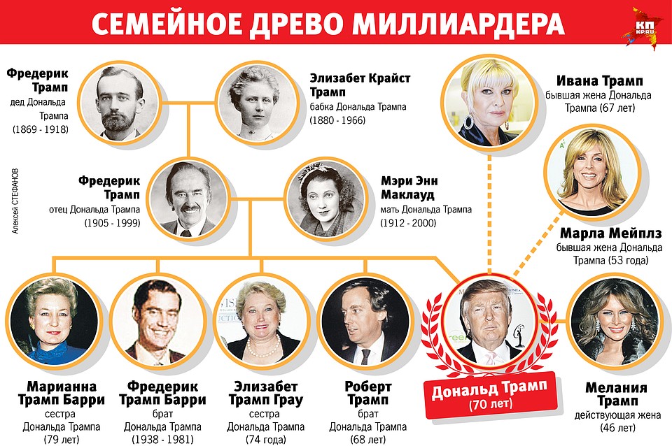 Семейное дерево миллиардера Фото: Алексей СТЕФАНОВ