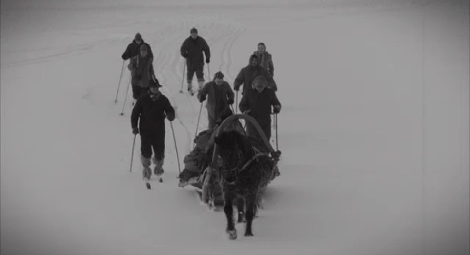 Зимой 1959 года в горах Северного Урала пропали девять туристов, ушедших в поход под руководством Игоря Дятлова. Фото: кадр из фильма