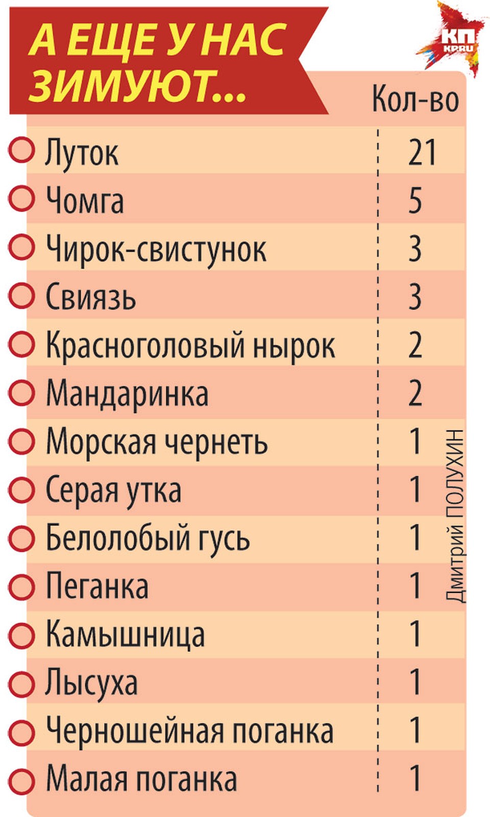 А еще у нас зимуют...