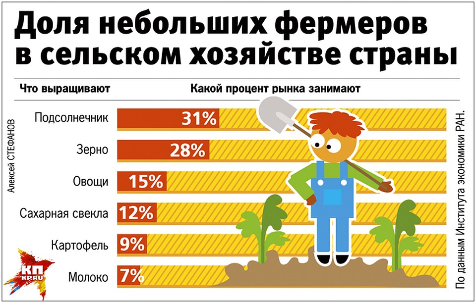 Доля небольших фермеров в сельском хозяйстве страны Фото: Алексей СТЕФАНОВ