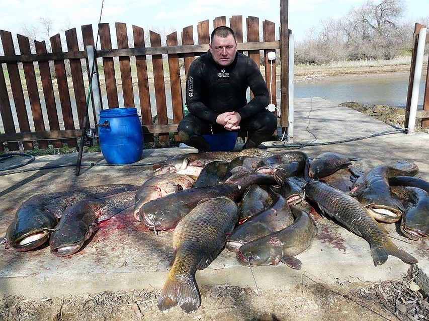 Этот улов из местных российских озер. Фото: Личная страничка героя публикации в соцсети