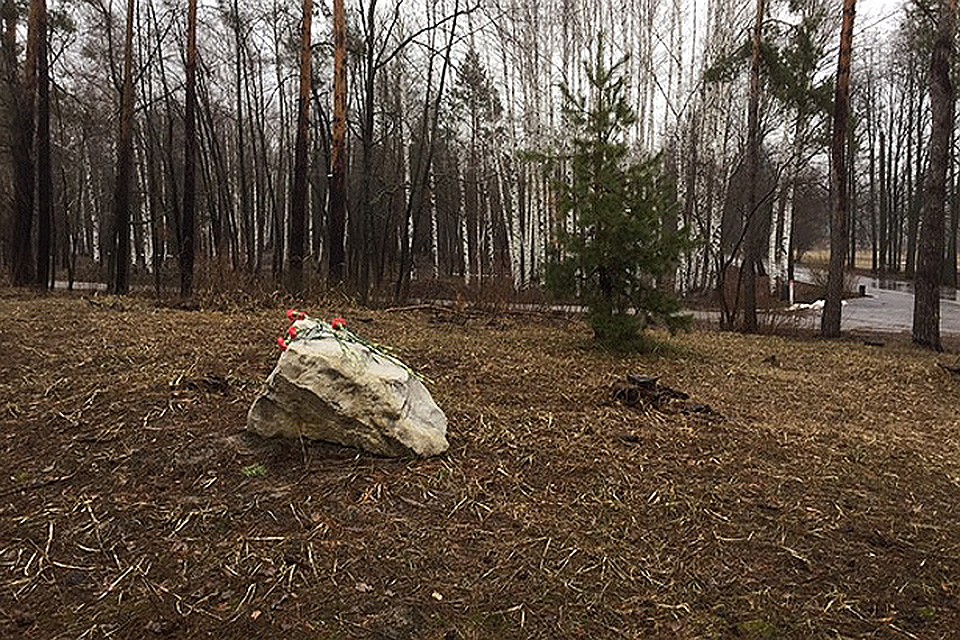 Закладной камень на месте будущего памятника Василию Пескову в Воронежском биосферном заповеднике его имени. ФОТО Людмила СЕМИНА