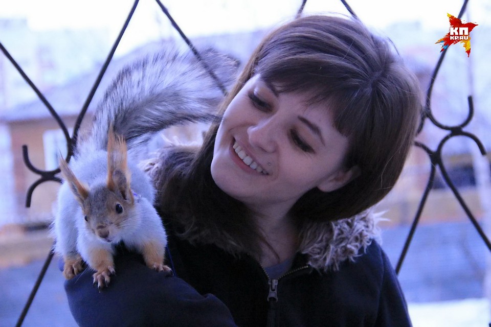 Елена Ермакова выкладывает фотографии белки в Instagram - там у Сони и ее хозяйки уже сотни поклонников. Фото: Виктория МИНАЕВА