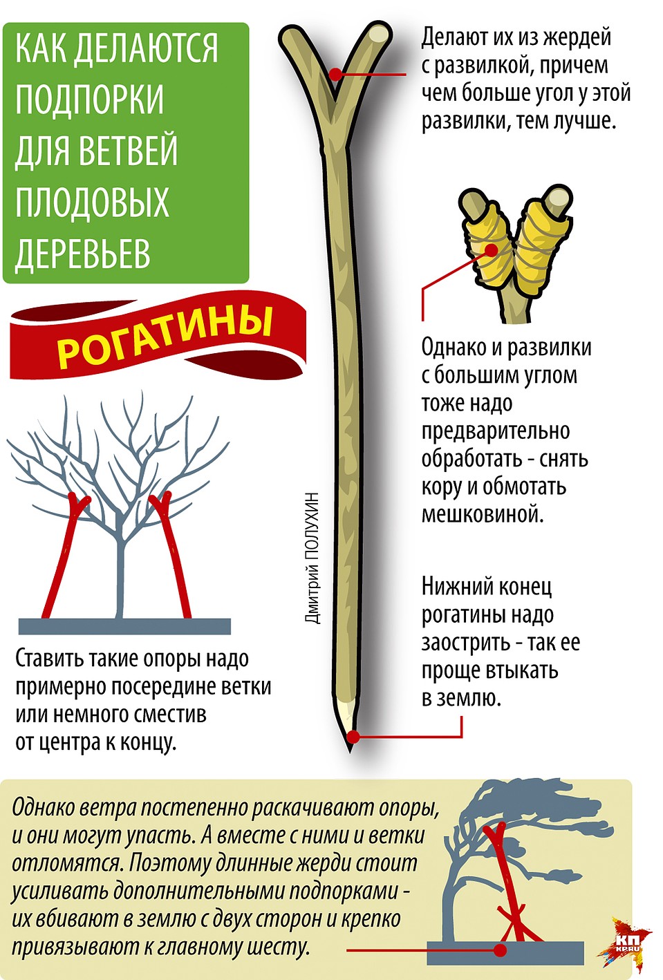 Рогатины Фото: Дмитрий ПОЛУХИН